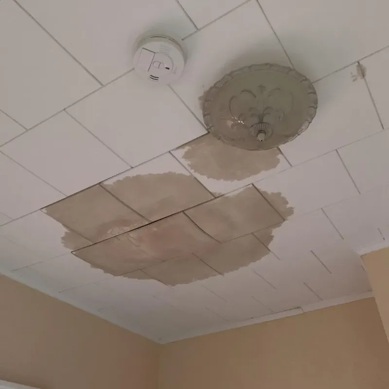 Ceiling Water Damage Repair in Woodward County, OK