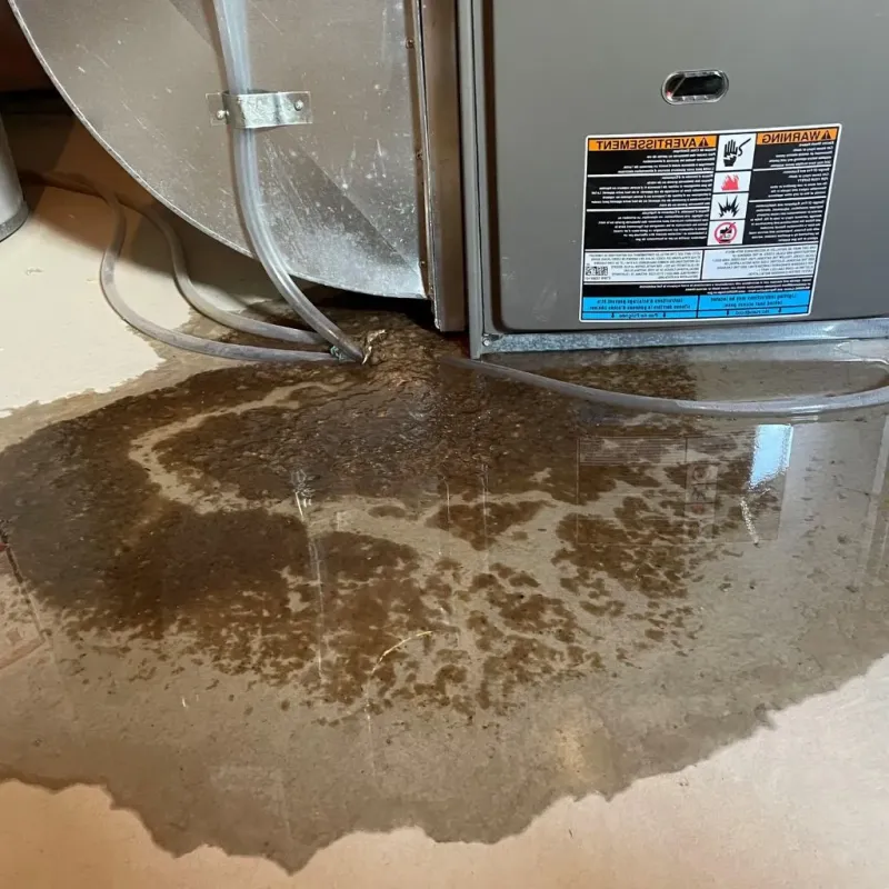 Pipe Burst and Leak Restoration in Woodward County, OK