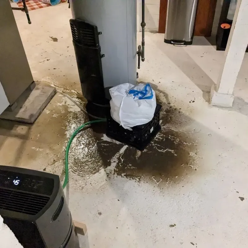 Sewage Backup Cleanup Service in Woodward County, OK